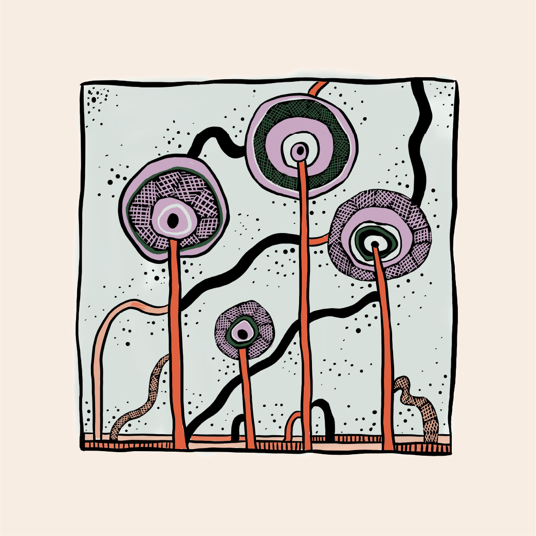 Coaster redraw_DMS