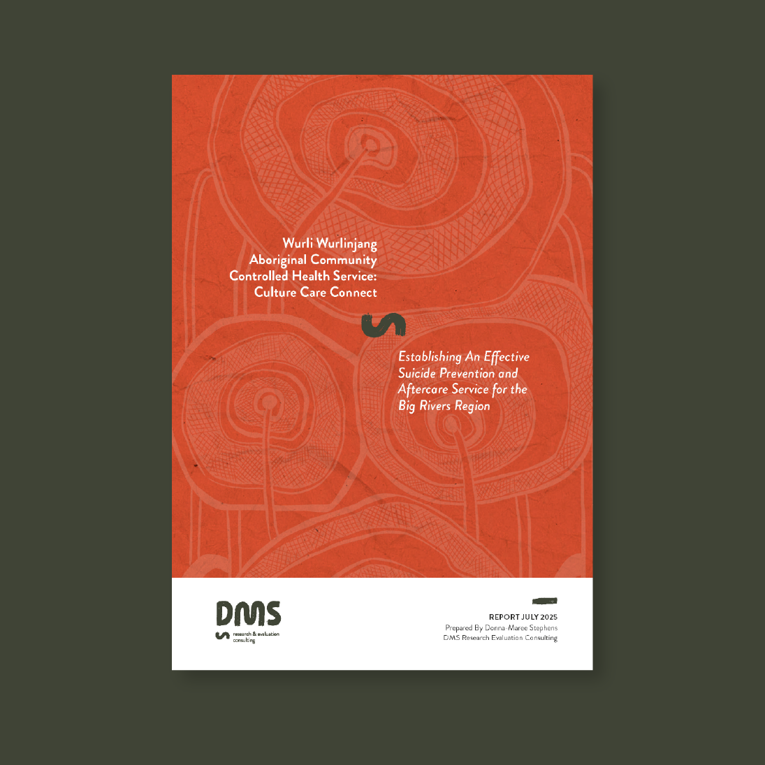 Report cover_DMS